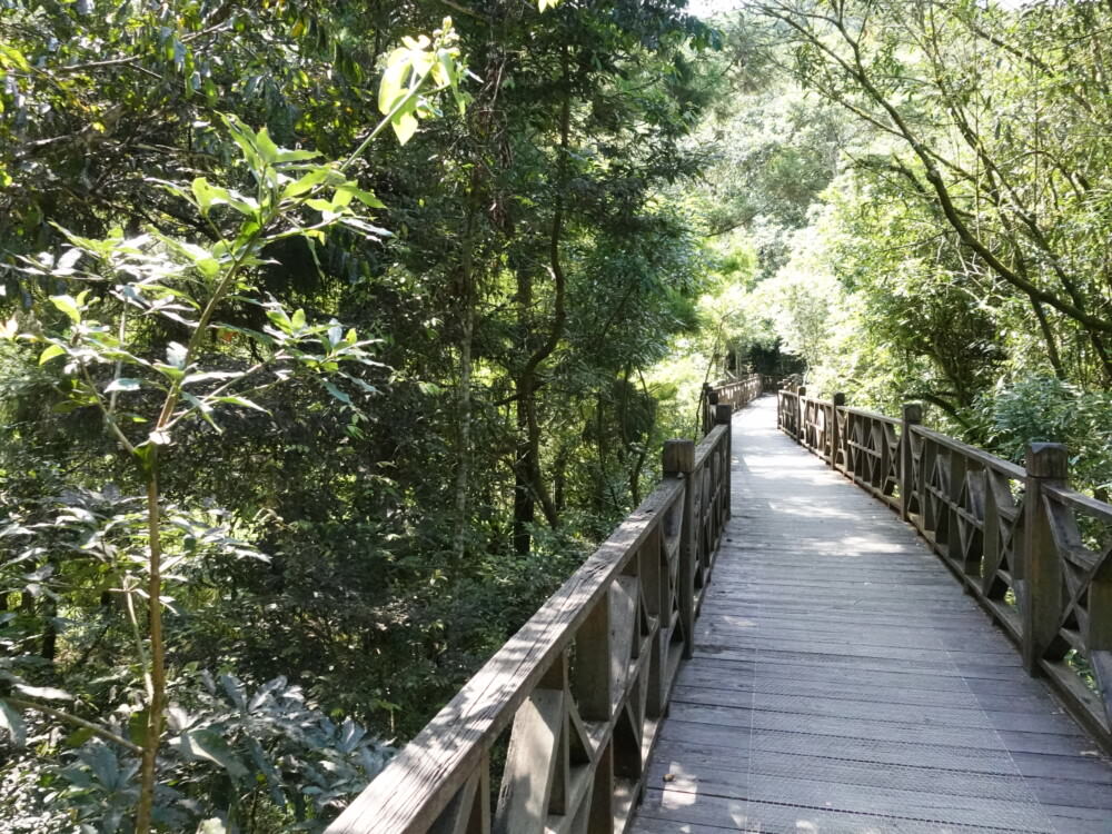 福山植物園-綠色步道