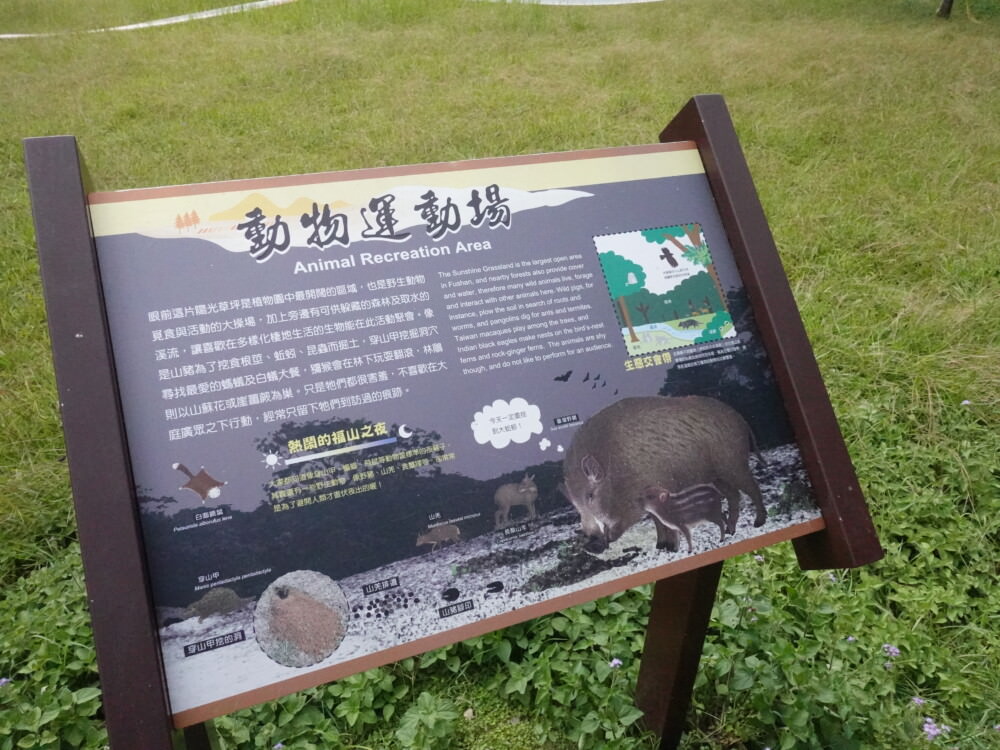 福山植物園-動物運動場