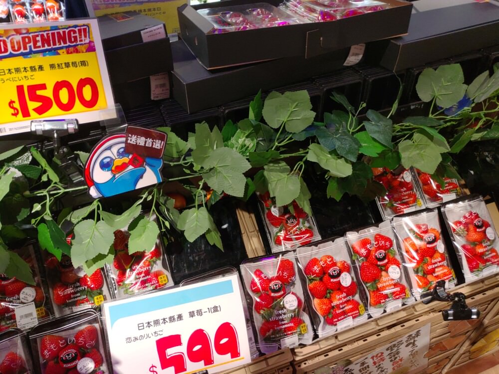 草莓-4