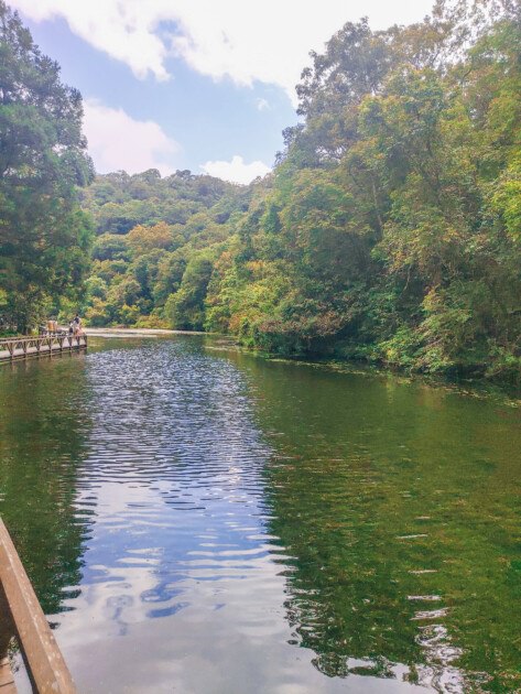 【宜蘭旅遊】再度回訪的好地方-福山植物園、北海稻民宿、彈跳工廠 - 第5張圖 福山植物園-美好景色