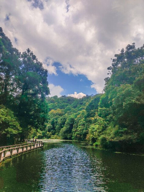 【宜蘭旅遊】再度回訪的好地方-福山植物園、北海稻民宿、彈跳工廠 - 第4張圖 福山植物園-景色優美